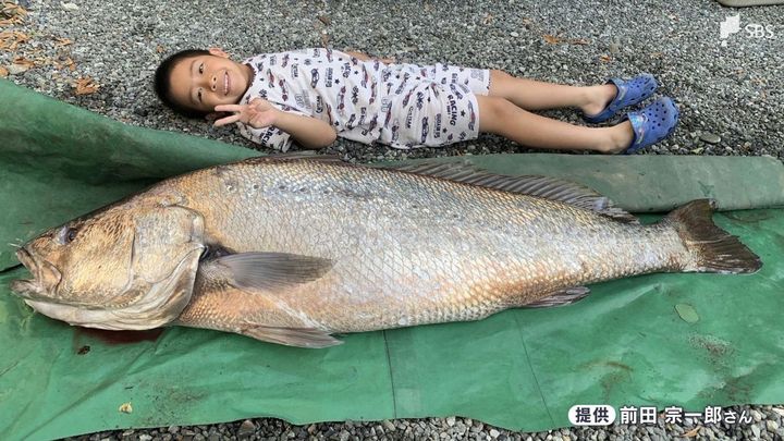 3時間の格闘「幻の魚」釣り上げる