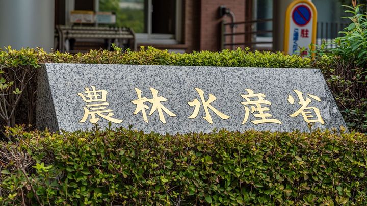 【米不足の逆】国産米需要が過去最低 輸入が急増