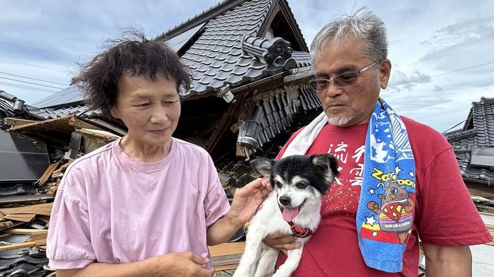 がれきの下にチワワ 15h後に救出