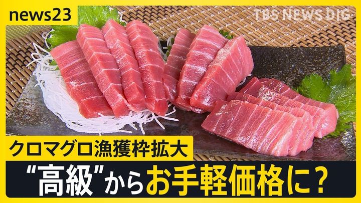 トロ安くなる? マグロ漁獲枠拡大