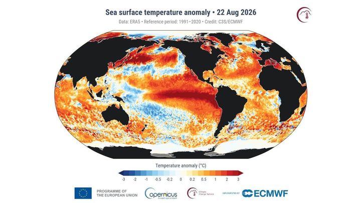 【速報】世界の海面水温、8月なのに観測史上最高を更新 21.10度