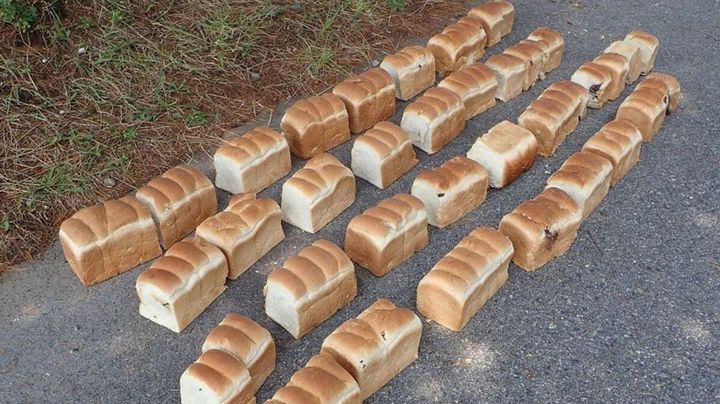 大山でパン39kg点々と投棄される事件、環境相が非難