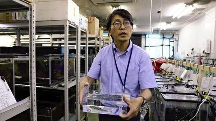 【危険】フグが交雑して毒の部位が分からなくなってるらしい