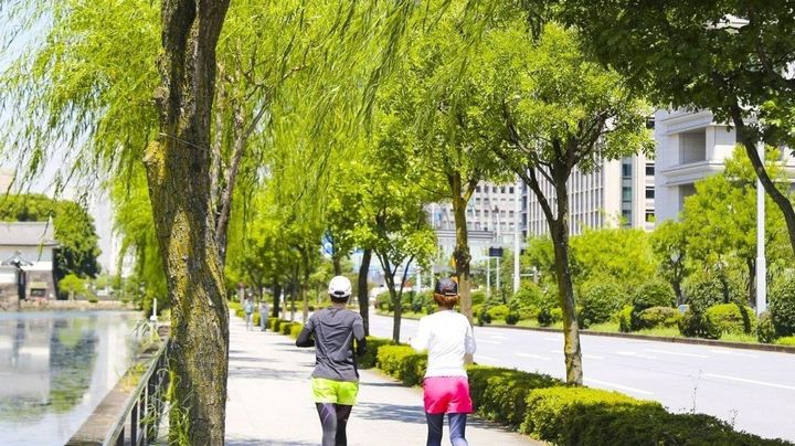 【皇居ラン】ランナーvs歩行者、千代田区が言及「安全性の確保は極めて重要」