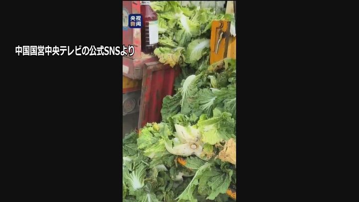 【白菜】中国、ホルムアルデヒド漬け白菜問題で3人刑事拘留