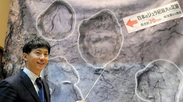 70cmのジュラ紀恐竜足跡 化石発見