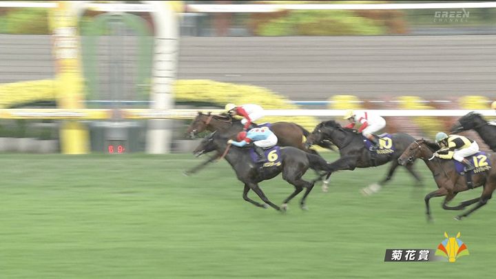 ロブチェン3冠達成ならず 菊花賞