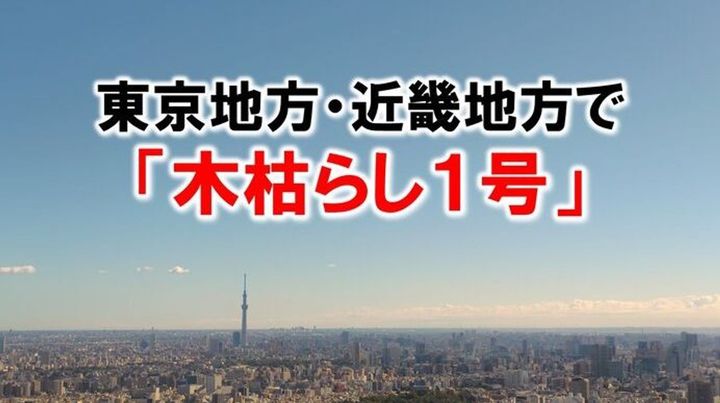 東京・近畿で木枯らし1号 気象庁